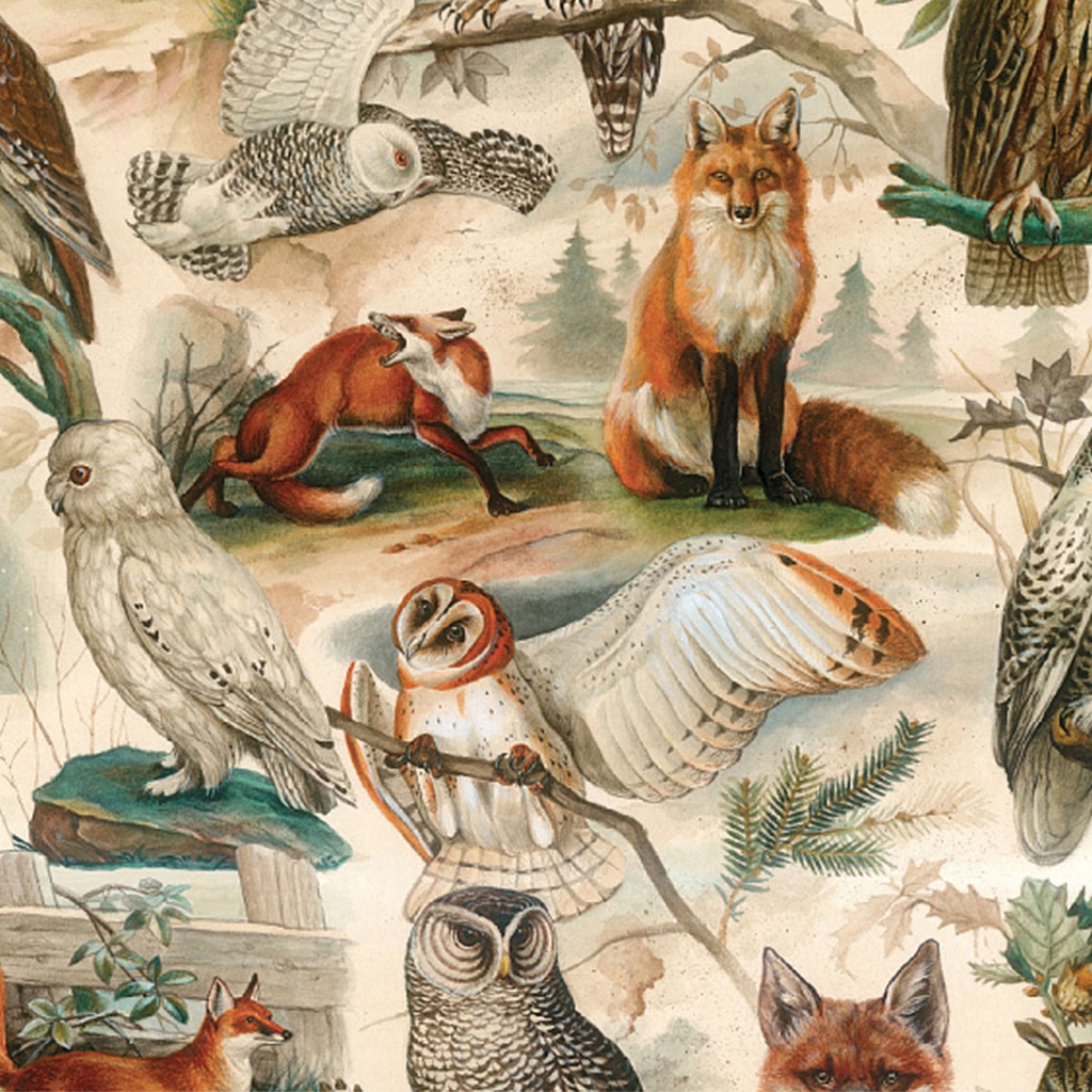 PAPEL BUHOS 1X70M