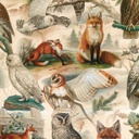 PAPEL BUHOS 1X70M